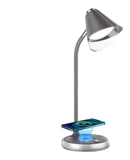 Lampy  08972L - LED Stmievateľná stolná lampa FINCH LED/9W/12/230V šedá/chróm 08972L