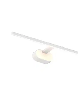 Svietidlá  LED Obrazové svietidlo PRADO LED/11W/230V biela ML1003