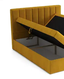 Manželské postele DALIO BOX 180x200 manželská posteľ, Bluvel 85