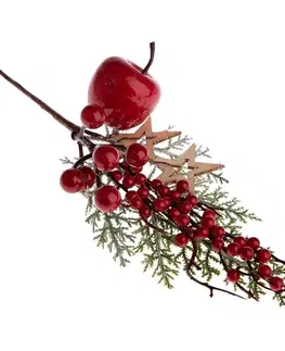 Vianočné dekorácie Dekoračná vetvička Apple and Stars, 34 cm