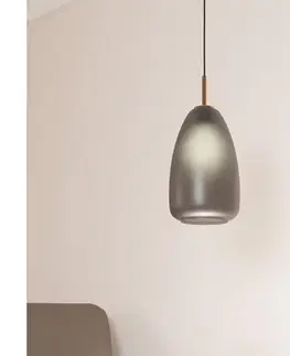 Svietidlá Eglo 900506 - Luster na lanku ALOBRASE 1xE27/40W/230V 900506