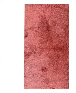 Moderné koberce Koberec Shaggy Enjoy 0,8/1,5 7410