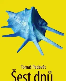 Svetová beletria Šest dnů - Tomáš Padevět