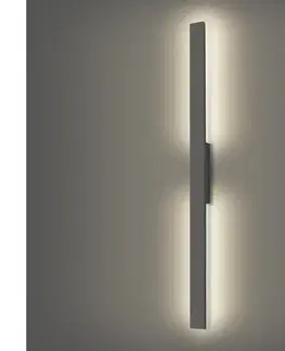 LED osvetlenie BRILAGI - LED vonkajšie nástenné svietidlo LUNA LED/24W/230V 4000K IP65 antracit BRI270