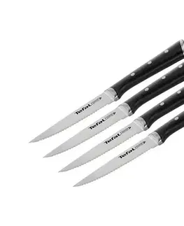 Sady nožov Tefal Ice Force K232S414, na steak, 4 kusy