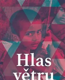 Fejtóny, rozhovory, reportáže Hlas větru - Stanislav Havlíček