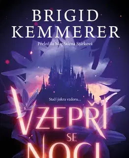 Young adults Vzepři se noci - Brigid Kemmerer