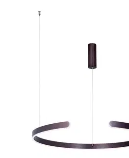 Svietidlá Zam 2013 - LED Stmievateľný luster na lanku LED/40W/230V hnedá 2013
