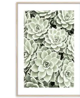 Dekorácie a bytové doplnky Artbox Digi 50x70 Br009 Succulents
