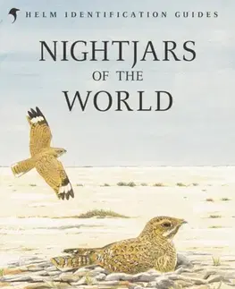 Vtáky, hydina Nightjars of the World - Nigel Cleere