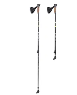 Trekingové palice Nordic walking palice inSPORTline Hallti
