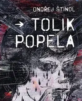 Romantická beletria Tolik popela - Ondřej Štindl