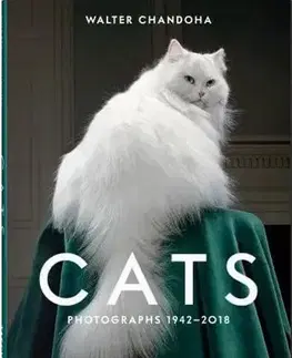 Fotografia Walter Chandoha. Cats. Photographs 1942-2018 - Susan Michals