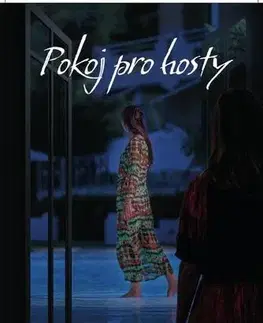 Erotická beletria Pokoj pro hosty - Andrea Bartz