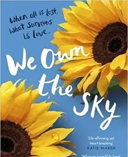 Cudzojazyčná literatúra We Own The Sky - Luke Allnutt