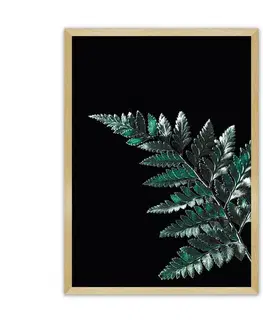 Obrazy Plagát Dark Leaf