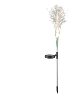 LED osvetlenie  LED Solárne svietidlo GRASS LED/1,2V 3000K 600 mAh IP44 čierna 329448