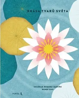Encyklopédie pre deti a mládež - ostatné Krása tvarů světa - Renee Hao