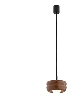 Svietidlá Argon 8817 - Luster na lanku TEVO 1xG9/4,5W/230V hnedá 8817