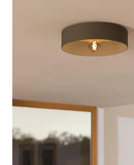 Svietidlá Eglo 901745 - Stropné svietidlo DUAIA 1xE27/40W/230V šedá 901745
