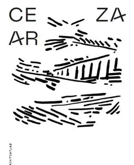 Architektúra CE ZA AR 2023 - Kolektív autorov