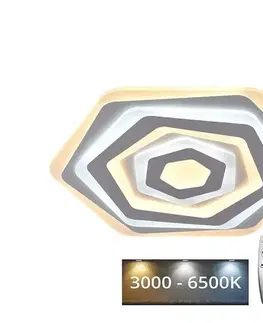 Svietidlá  LED Stmievateľné stropné svietidlo LED/95W/230V 3000-6500K + DO J1305/W