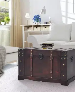 Truhly a úložné boxy Starožitná drevená truhla hnedá Dekorhome