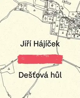 Romantická beletria Dešťová hůl - Jiří Hájíček