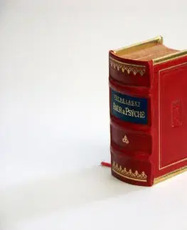Svetová beletria Amor a Psýché - Lucius Apuleius