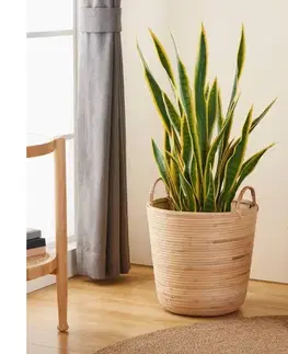 Taburetky Eglo 426513 - Dekoračný kôš NARAHA 41x36 cm ratan 426513