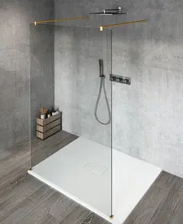 Sprchové dvere GELCO - VARIO GOLD MATT jednodielna sprchová zástena do priestoru, číre sklo, 1000  GX1210-02