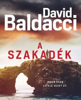 Detektívky, trilery, horory A szakadék - David Baldacci