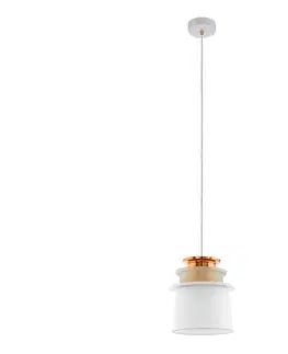 Svietidlá Eglo 96873 - Závesné svietidlo SCAZON 1xE27/60W/230W 96873