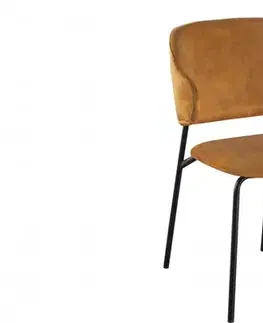 Jedálenské stoličky a kreslá Jedálenská stolička 2 ks CHRYSAOR Dekorhome