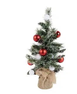 Svetelné reťaze do interiéru Vianočný stromček biely s červenou farbou 60 cm vrátane LED s časovačom - Jack