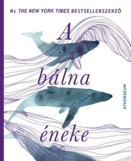 Svetová beletria A bálna éneke - Regény öt hangra - Jodi Picoult