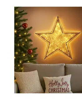 Vianočné dekorácie BRILAGI - LED vonkajšia vianočná dekorácia LED/2,6W/230V IP44 47x45 cm hviezda 1v1100-OEM1
