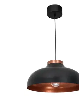Svietidlá  Luster na lanku BASCA 1xE27/60W/230V 1735
