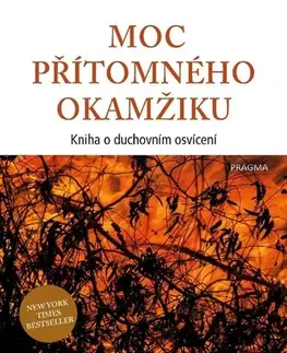 Ezoterika - ostatné Moc přítomného okamžiku - Eckhart Tolle