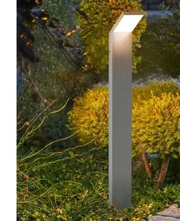 Záhradné lampy BRILAGI - LED vonkajšia lampa RIANO LED/8W/230V strieborná IP65 80 cm WO-HR60142-800-OEM-SA