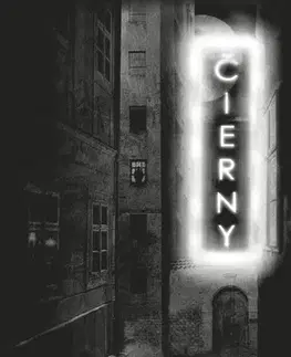 Detektívky, trilery, horory Čierny - Triler o pomste - Martin Jurík