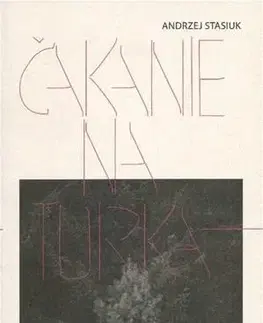 Svetová beletria Čakanie na Turka - Andrzej Stasiuk