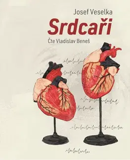 Pre deti a mládež Témbr Srdcaři