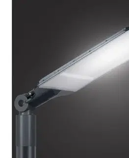 LED osvetlenie BRILAGI - LED vonkajšie pouličné svietidlo URBANLIGHT LED/250W/230V antracit IP65 BRI804