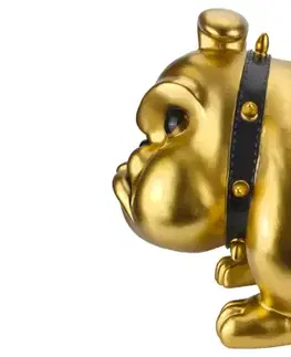 Bytové doplnky a dekorácie Dekoračná socha bullgog APASHA Dekorhome