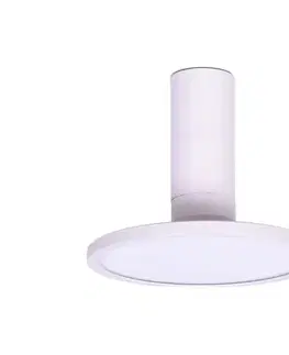 Svietidlá Rabalux 71328 - LED Stropné svietidlo OVIDIA LED/20W/230V 3000K biela 71328