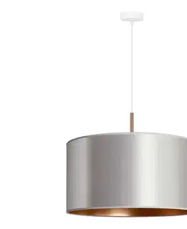 Svietidlá  - Luster na lanku CANNES 1xE27/15W/230V pr. 45 cm strieborná/medená 602433