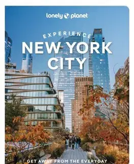 Amerika Lonely Planet Experience New York City