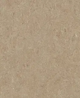 Marmoleum marbled terra FORBO Marmoleum marbled terra Weathered sand 5803