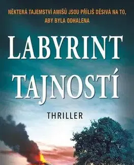 Detektívky, trilery, horory Labyrint tajností - Linda Castillo